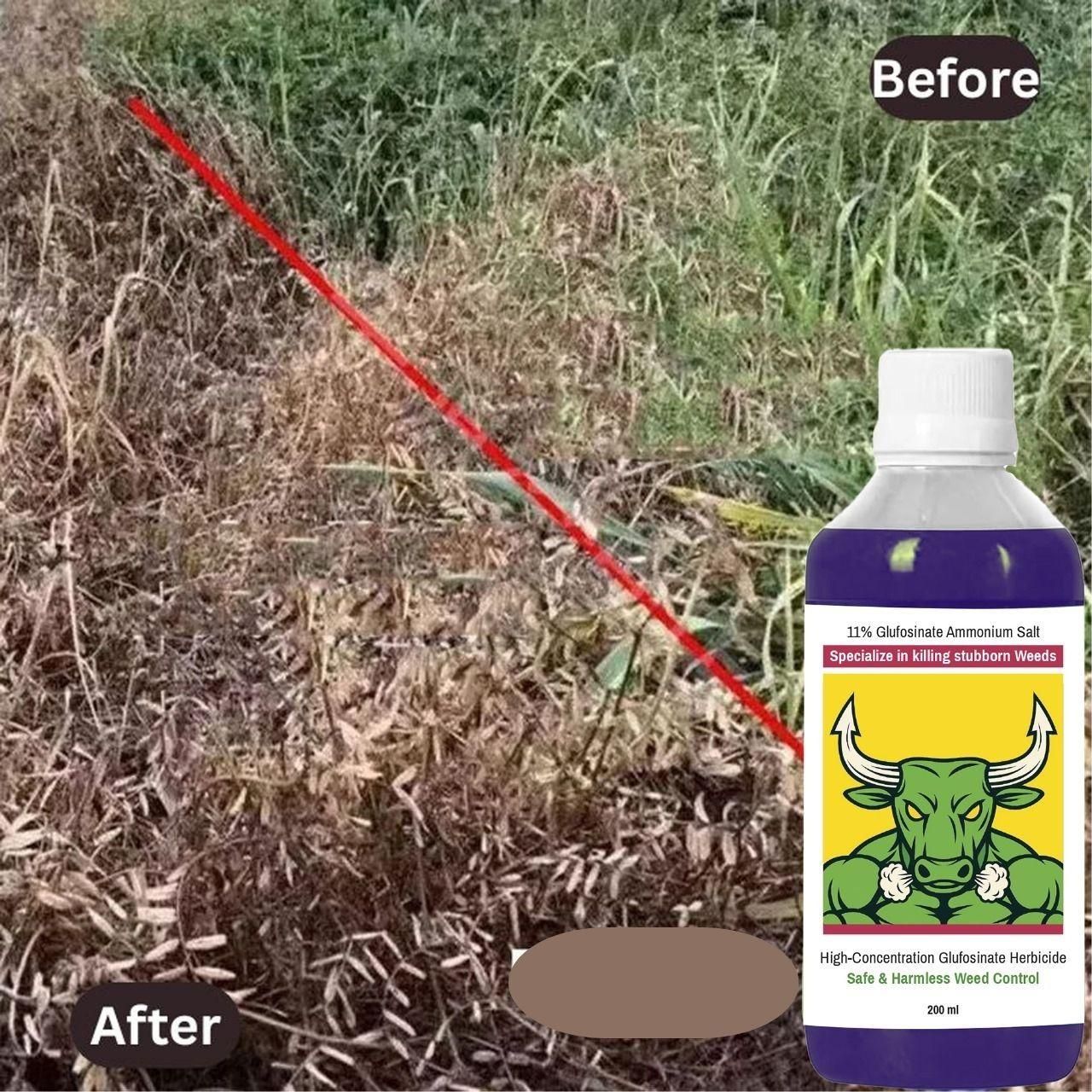 High Concentration Glufosinate Herbicide (BUY 1 GET 1 FREE)