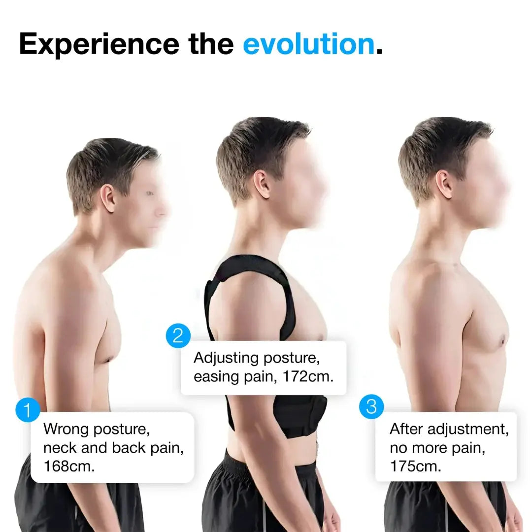 Posture Corrector Belt For Men & Women