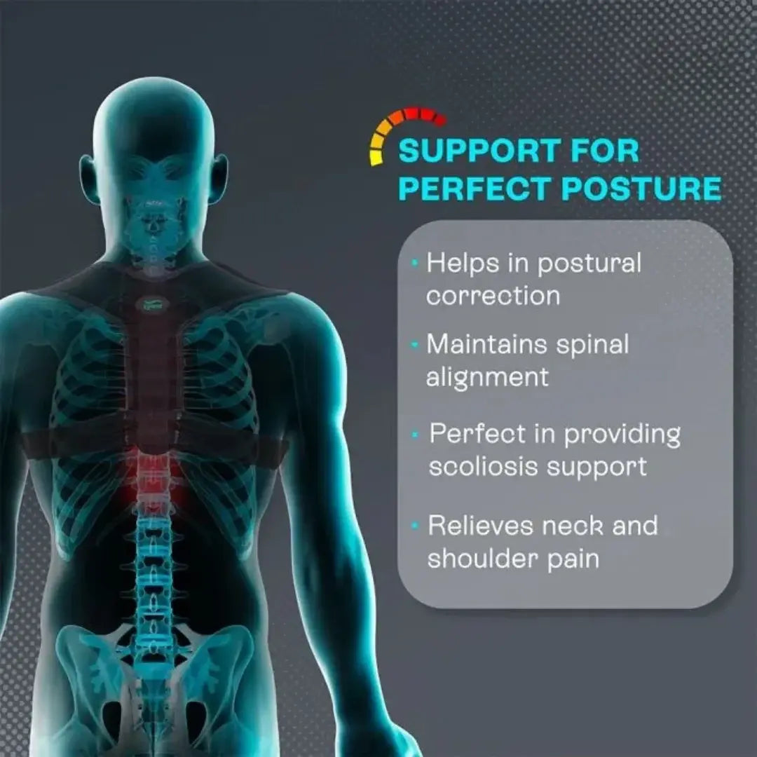 Posture Corrector Belt For Men & Women